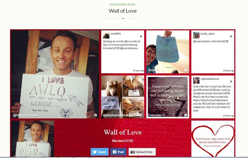 Everydayhero's #ilovebecause Wall of Love