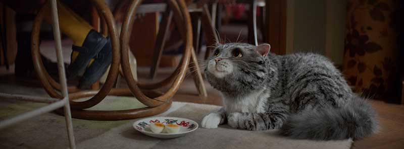 Mog in Sainsbury's Christmas TV ad, supporting Save the Children